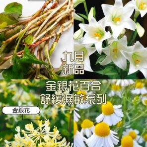 金銀花百合舒緩濕敏系列